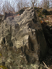 Schist at the Aiken Preserve