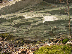 Putney Volcanics at the Aiken Preserve