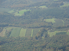 Green Mountain Orchards