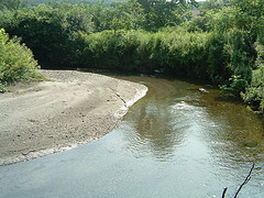 Stream Channel Point Bar