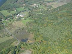 Aerial View of the Putney Central School Forest