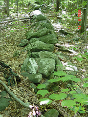 Stone Wall