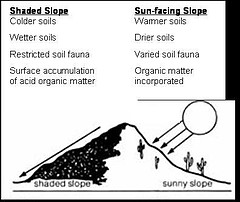 Topograhic Variations in Microclimate