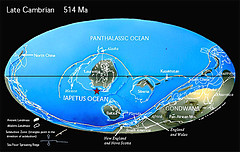 Late Cambrian Paleogeographic Map of the Earth