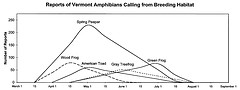 VT Amphibian Calling Times