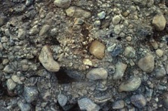 Glacial Till