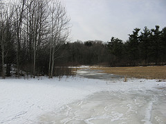 drainage in the west field