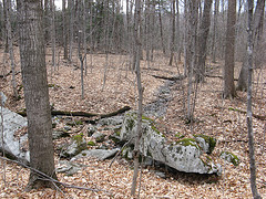 porcupine spring, fizzy rocks 5