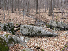 porcupine spring, fizzy rocks 5