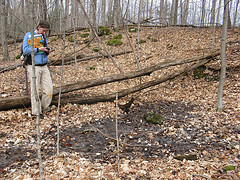porcupine spring, fizzy rocks 5