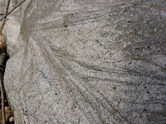 cross bedded rock, glacial erratic? 5