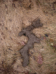 Small mammal tunnel