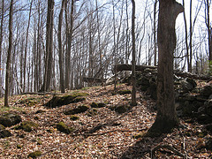 rock wall and fence row