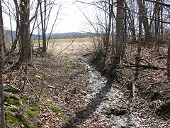 drainage ditch that feeds the small stream