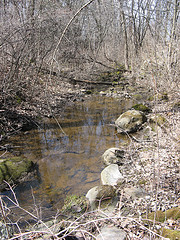 small E-W creek on the Scott Parcel