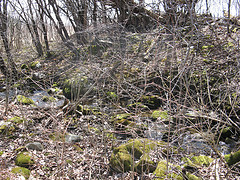 small E-W creek on the Scott Parcel