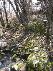small E-W creek on the Scott Parcel