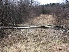 the old culvert bridging the small E-W creek on the Scott Parcel