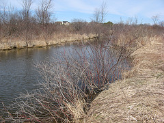 Seely Brook as it enters Scott Pond