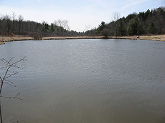 Scott Pond