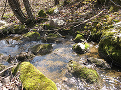 small E-W creek on the Scott Parcel
