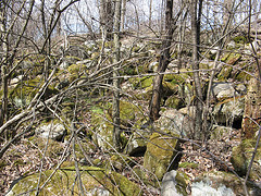 small E-W creek on the Scott Parcel