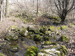 small E-W creek on the Scott Parcel