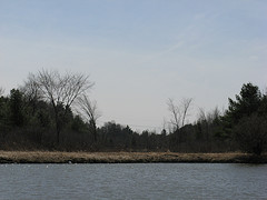 Scott Pond