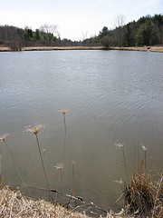 Scott Pond