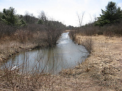 Seely Brook as it flows south from Scott Pond
