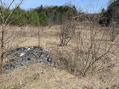 rock outcrop in power line cut