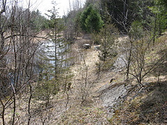 vernal pool just south of the power line