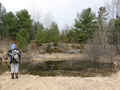 Vernal pool just south of the power line cut