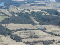 Leduc