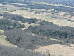 Leduc