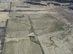 Leduc