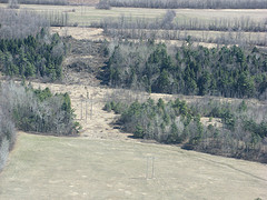 Leduc