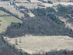 Leduc