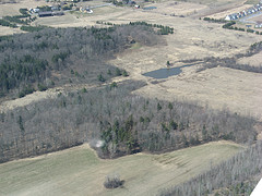 Leduc