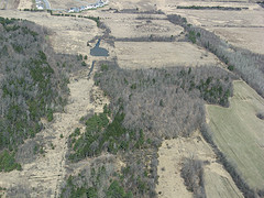 Leduc