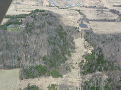Leduc