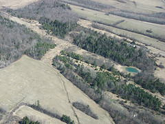 Leduc