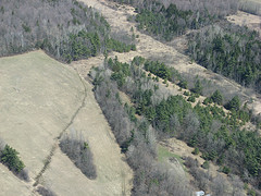 Leduc