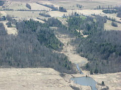 Leduc