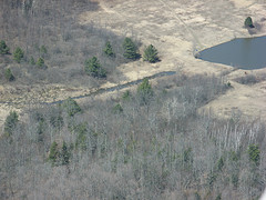 Leduc