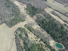 Leduc