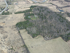 Leduc