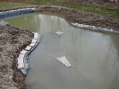 Wetland Pool in Children's Garden