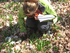 Edible Plant Identification