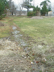 Swale